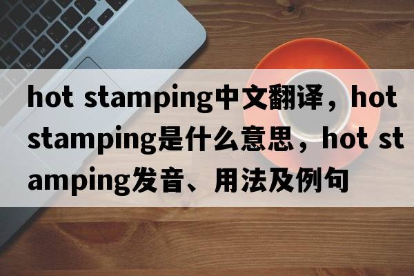 hot stamping中文翻譯，hot stamping是什么意思，hot stamping發(fā)音、用法及例句