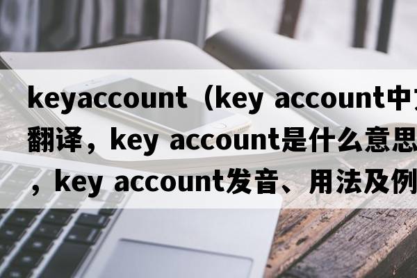 keyaccount（key account中文翻譯，key account是什么意思，key account發(fā)音、用法及例句）