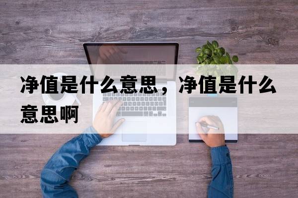 凈值是什么意思，凈值是什么意思啊