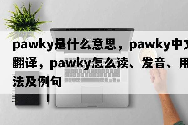 pawky是什么意思，pawky中文翻譯，pawky怎么讀、發(fā)音、用法及例句