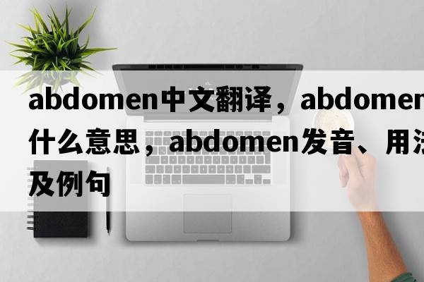 abdomen中文翻譯，abdomen是什么意思，abdomen發(fā)音、用法及例句