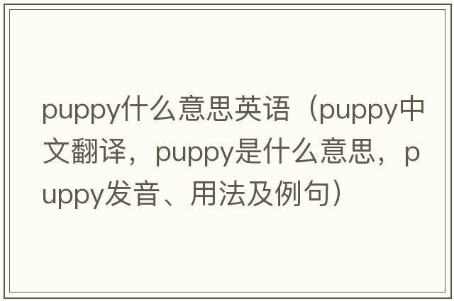 puppy什么意思英語(yǔ)（puppy中文翻譯，puppy是什么意思，puppy發(fā)音、用法及例句）