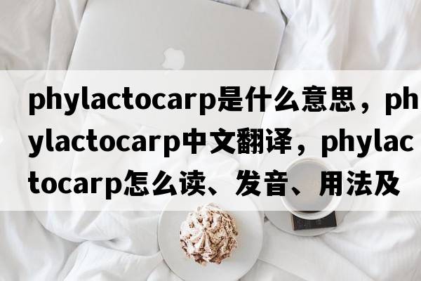 phylactocarp是什么意思，phylactocarp中文翻譯，phylactocarp怎么讀、發(fā)音、用法及例句