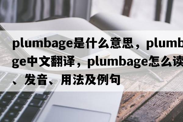 plumbage是什么意思，plumbage中文翻譯，plumbage怎么讀、發(fā)音、用法及例句