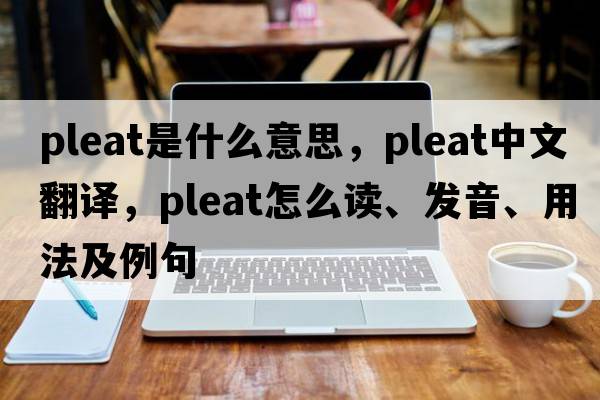 pleat是什么意思，pleat中文翻譯，pleat怎么讀、發(fā)音、用法及例句