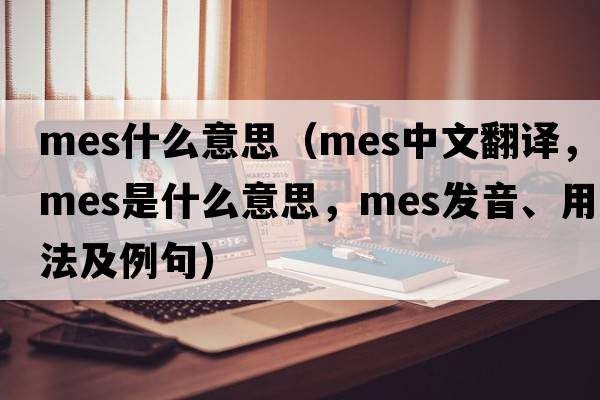 mes什么意思（mes中文翻譯，mes是什么意思，mes發(fā)音、用法及例句）