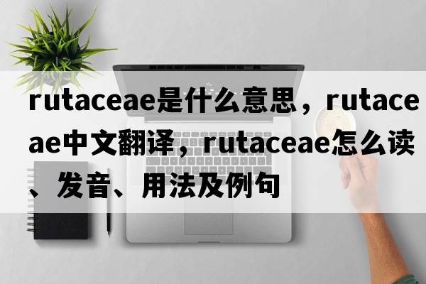 Rutaceae是什么意思，Rutaceae中文翻譯，Rutaceae怎么讀、發(fā)音、用法及例句