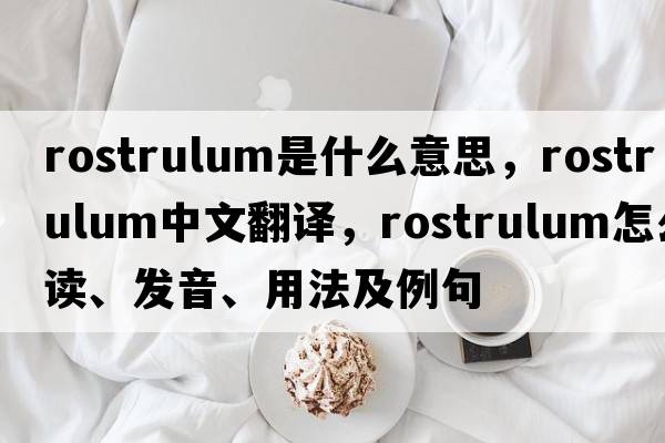 rostrulum是什么意思，rostrulum中文翻譯，rostrulum怎么讀、發(fā)音、用法及例句