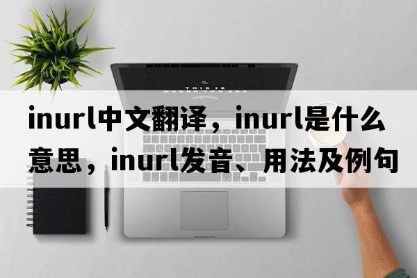 inurl中文翻譯，inurl是什么意思，inurl發(fā)音、用法及例句