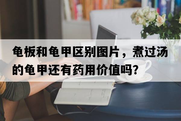 龜板和龜甲區別圖片，煮過(guò)湯的龜甲還有藥用價(jià)值嗎？