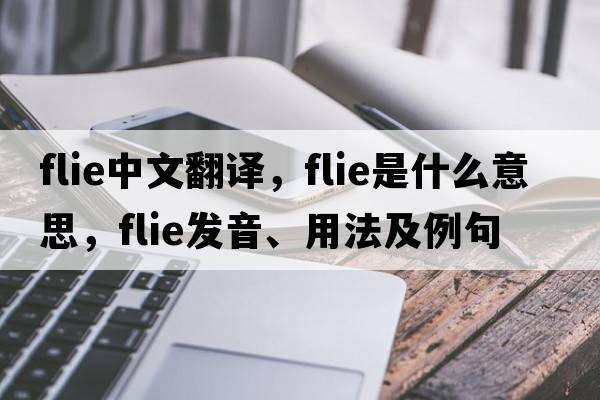 flie中文翻譯，flie是什么意思，flie發(fā)音、用法及例句