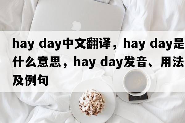 hay day中文翻譯，hay day是什么意思，hay day發(fā)音、用法及例句