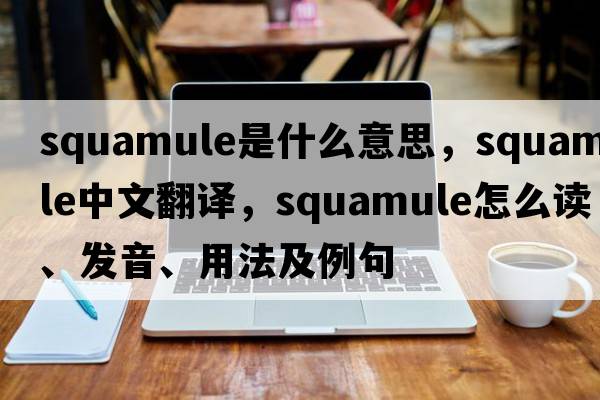 squamule是什么意思，squamule中文翻譯，squamule怎么讀、發(fā)音、用法及例句