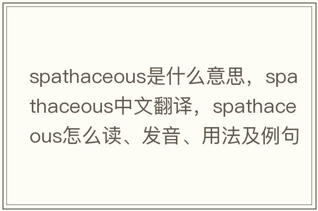 spathaceous是什么意思，spathaceous中文翻譯，spathaceous怎么讀、發(fā)音、用法及例句