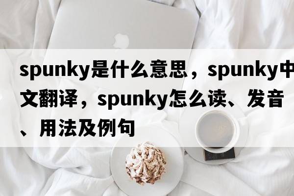 spunky是什么意思，spunky中文翻譯，spunky怎么讀、發(fā)音、用法及例句