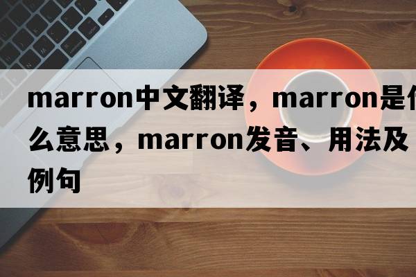 marron中文翻譯，marron是什么意思，marron發(fā)音、用法及例句