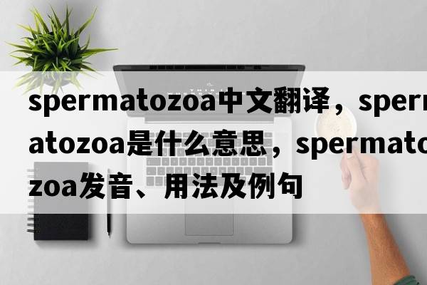 spermatozoa中文翻譯，spermatozoa是什么意思，spermatozoa發(fā)音、用法及例句
