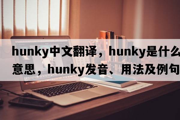 hunky中文翻譯，hunky是什么意思，hunky發(fā)音、用法及例句