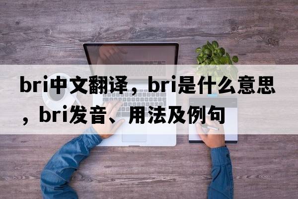 bri中文翻譯，bri是什么意思，bri發(fā)音、用法及例句