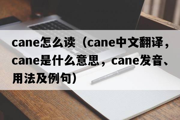 cane怎么讀（cane中文翻譯，cane是什么意思，cane發(fā)音、用法及例句）