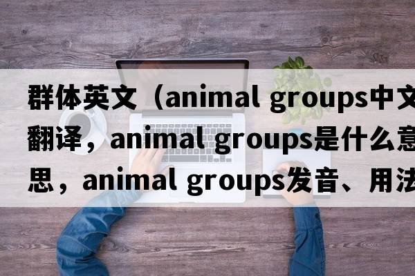 群體英文（animal groups中文翻譯，animal groups是什么意思，animal groups發(fā)音、用法及例句）