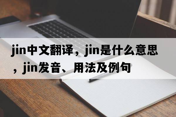 jin中文翻譯，jin是什么意思，jin發(fā)音、用法及例句