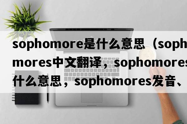 sophomore是什么意思（sophomores中文翻譯，sophomores是什么意思，sophomores發(fā)音、用法及例句）