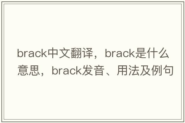 brack中文翻譯，brack是什么意思，brack發(fā)音、用法及例句