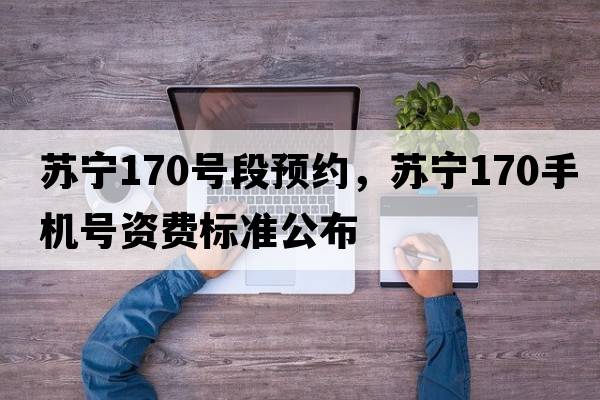 蘇寧170號段預約，蘇寧170手機號資費標準公布