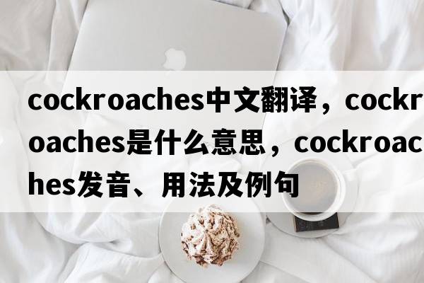 cockroaches中文翻譯，cockroaches是什么意思，cockroaches發(fā)音、用法及例句