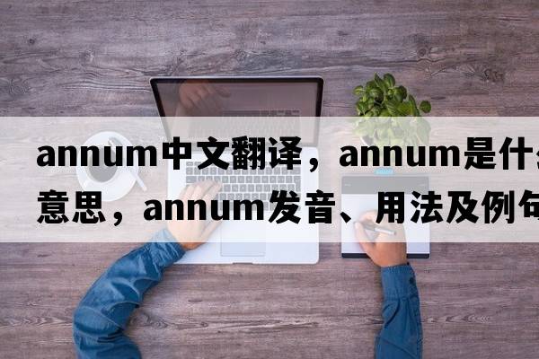 annum中文翻譯，annum是什么意思，annum發(fā)音、用法及例句
