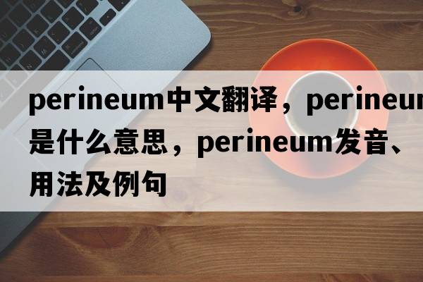 perineum中文翻譯，perineum是什么意思，perineum發(fā)音、用法及例句