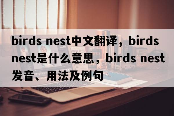 birds nest中文翻譯，birds nest是什么意思，birds nest發(fā)音、用法及例句