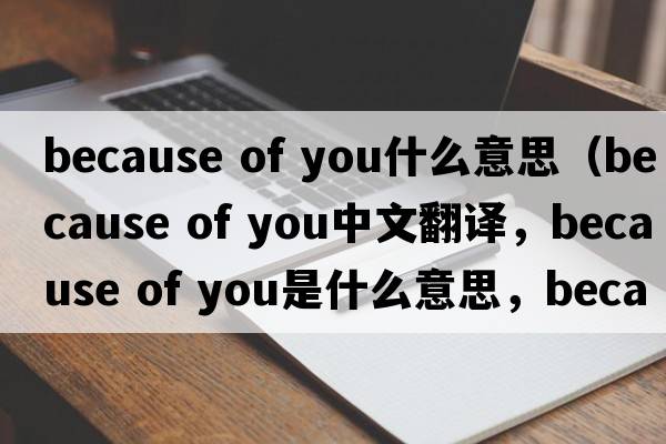 because of you什么意思（because of you中文翻譯，because of you是什么意思，because of you發(fā)音、用法及例句）