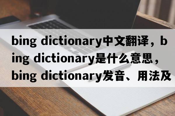 bing dictionary中文翻譯，bing dictionary是什么意思，bing dictionary發(fā)音、用法及例句