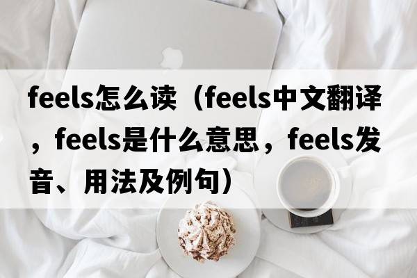 feels怎么讀（feels中文翻譯，feels是什么意思，feels發(fā)音、用法及例句）