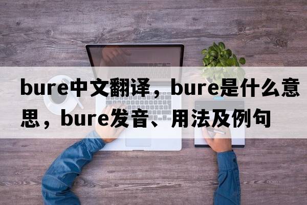 bure中文翻譯，bure是什么意思，bure發(fā)音、用法及例句