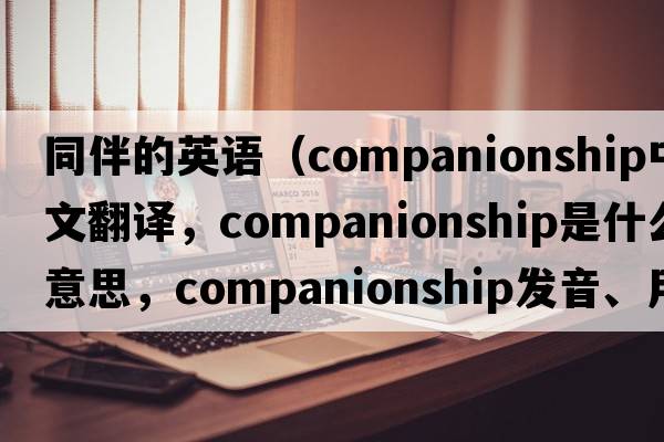 同伴的英語(yǔ)（companionship中文翻譯，companionship是什么意思，companionship發(fā)音、用法及例句）