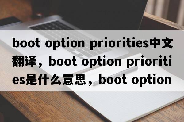 boot option priorities中文翻譯，boot option priorities是什么意思，boot option priorities發(fā)音、用法及例句