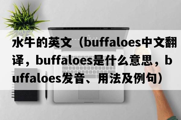水牛的英文（buffaloes中文翻譯，buffaloes是什么意思，buffaloes發(fā)音、用法及例句）