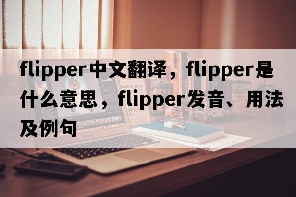 flipper中文翻譯，flipper是什么意思，flipper發(fā)音、用法及例句