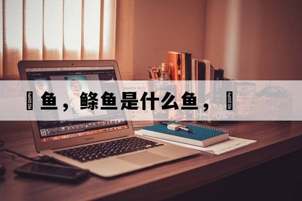 儵魚(yú)，鰷魚(yú)是什么魚(yú)，儵