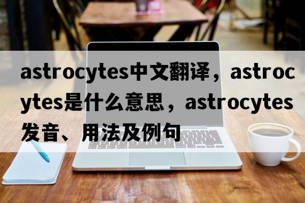 astrocytes中文翻譯，astrocytes是什么意思，astrocytes發(fā)音、用法及例句