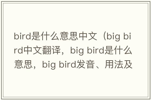bird是什么意思中文（big bird中文翻譯，big bird是什么意思，big bird發(fā)音、用法及例句）