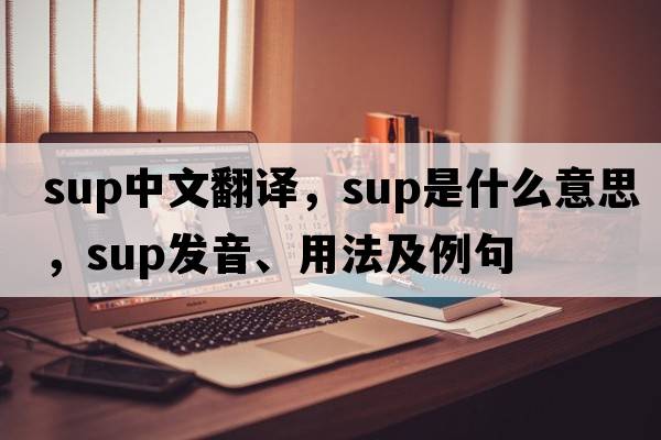 sup中文翻譯，sup是什么意思，sup發(fā)音、用法及例句