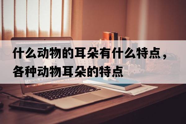 什么動(dòng)物的耳朵有什么特點(diǎn)，各種動(dòng)物耳朵的特點(diǎn)