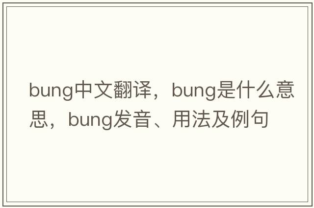 bung中文翻譯，bung是什么意思，bung發(fā)音、用法及例句
