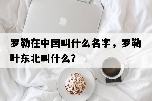 羅勒在中國叫什么名字，羅勒葉東北叫什么？