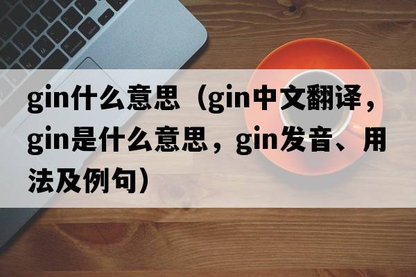 gin什么意思（gin中文翻譯，gin是什么意思，gin發(fā)音、用法及例句）