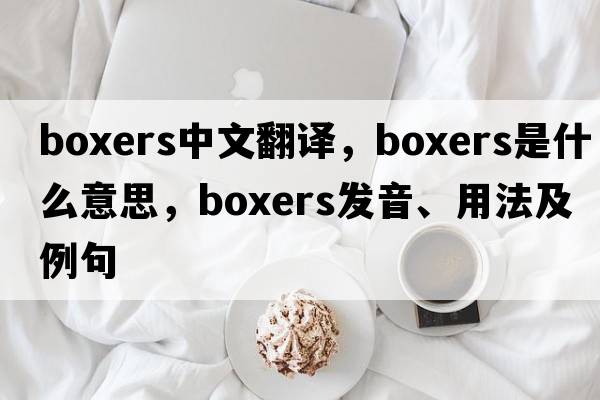 boxers中文翻譯，boxers是什么意思，boxers發(fā)音、用法及例句